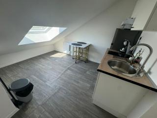 Studio eucalyptus charmant élégant et fonctionnel Centre ville - Mulhouse - 7