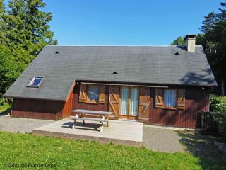 Chalet tout confort en lisière de forêt avec cheminée, terrasse et accès direct à un étang de pêche - FR-1-497-213 - Chaumont - 0