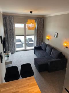 Uroczy apartament - Mackiewicza 5, Parking, Netflix - Łódź - 3