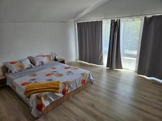 Casa Cristian - Limanu - 4