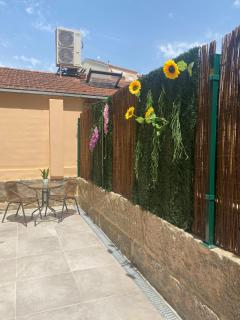 Estancia con terraza en pleno centro de Ourense - 4