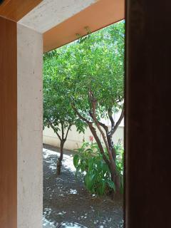 Il Giardino di Nora - Alghero - 8