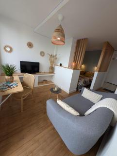 Studio de Charme Cosy centre-ville - Tarbes - 5