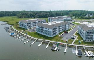 Sunshine Manifested - Lewes - 8