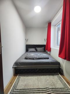 Milijic Lux 2 - Soko Banja - 5