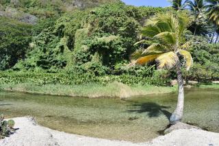 Hospedaje Villa Valencia en Los Patos - 6