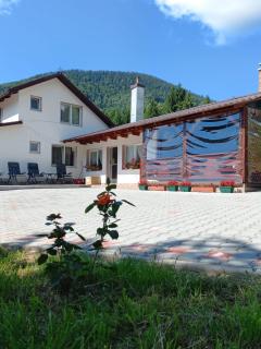 Cabana Forest - Piatra Fântânele - 7
