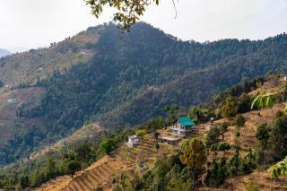 Hilltop 3BHK Cottage l Camp Bagicha - 7