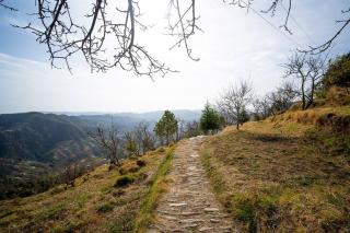 Hilltop 3BHK Cottage l Camp Bagicha - 6