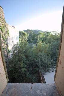 Magnifique eco-gîte des Marronniers avec terrasse - 5