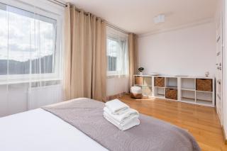 Oliwa Pleasant Apartment - Danzig - 1