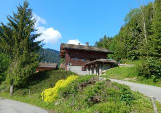 L'Hysope - Le Grand-Bornand - 9