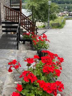 La Bombetta Gialla di Elisa e Marco - 4