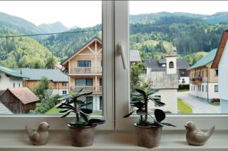 Apartment Hauser Kaibling - Ennsling - 9