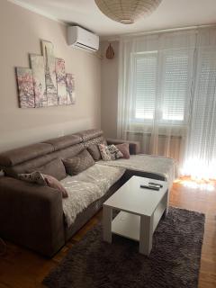 Iconic apartment - Belgrado - 8
