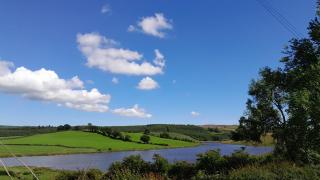 Tullynawood Glamping and Farm - - 4