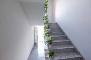 Villa Marija with private heated pool - 6