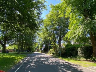 Spacious Double Studio-style room - 1
