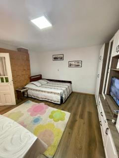 Gourmet Oasis in the city 2 - Suceava - 5