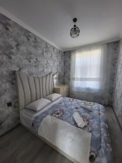 New Grey YSR villa - Gabala - 3