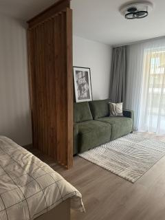 Carpathian Studio - Brasov - 3