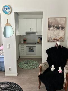 Studio - Rovaniemi - 3