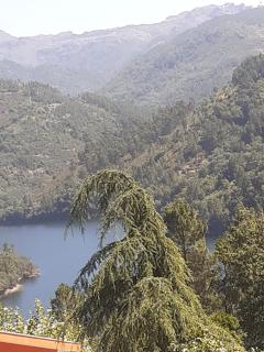 Os Girassóis da Carla - Braga - 0