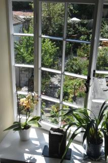 Hiraeth Homestay xxx - 8
