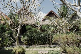 Temeling Jungle Inn - 5