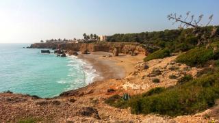 ROCA PLANA COSTA NORD - 9