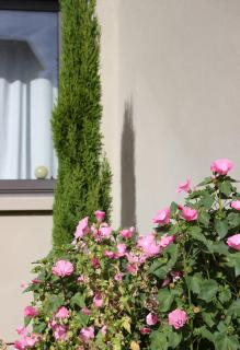 Le Passage Meublé de tourisme Trois Etoiles 1 à 6 voyageurs - Châtillon-sur-Chalaronne - 3