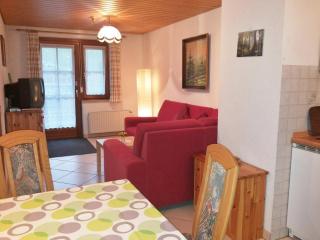 Bühlhof Todtnauberg Wohnung 1 - Todtnauberg - 7