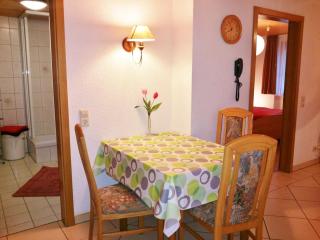 Bühlhof Todtnauberg Wohnung 1 - 6