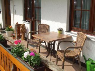Bühlhof Todtnauberg Wohnung 1 - Todtnauberg - 5