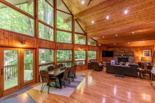 Gait to Paradise - Boone - 4