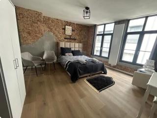 Cosy room in Antwerp City - 3