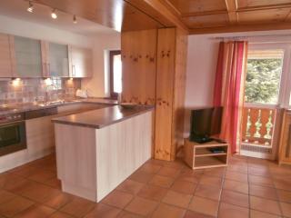 Bühlhof Todtnauberg Gästehaus Wohnung Nr5 - Todtnauberg - 6