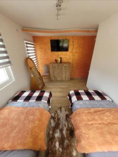 Apartman Zlatar-Vasiljevic - Nova Varoš - 4