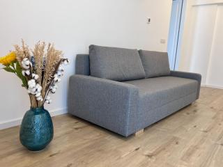 One BedRoom Apartment Sos Glucoza 6 - 2