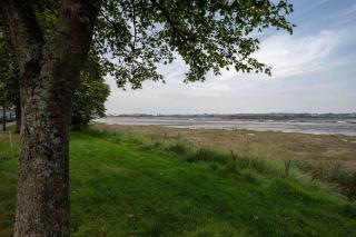 Estuary Reach - 8
