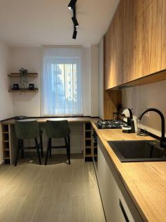 Carpathian studio - Braşov - 3