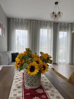 Alma Rose Apartments 2 e 4 - 9