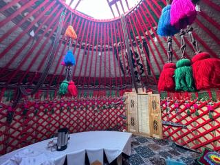 Guesthouse Snow Leopard - 'Ak Ilbirs' - Tong - 1