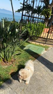 Apto Areia azul-PÉ NA AREIA- PETFRIENDLY PREMIUM na prainha - Caraguatatuba - 6
