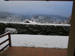 Les Edelweiss - Gérardmer - 4