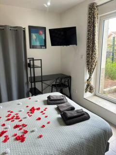 Mozart Cosy Love room - Chasse-sur-Rhône - 9