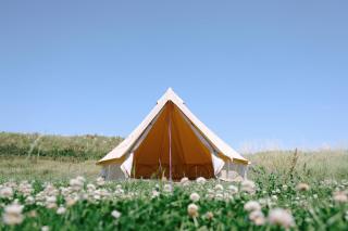 The Camp at The Wave - - 2