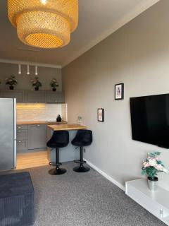 Uroczy apartament - Mackiewicza 5, Parking, Netflix - Łódź - 9