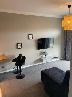 Uroczy apartament - Mackiewicza 5, Parking, Netflix - Łódź - 7