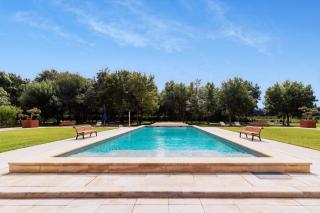 Domaine des Eucalyptus - Mollégès - 8